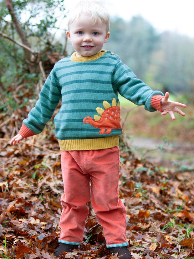 Dinky Dino Pullover