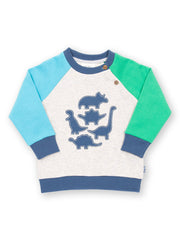 Dino Play Sweatshirt
