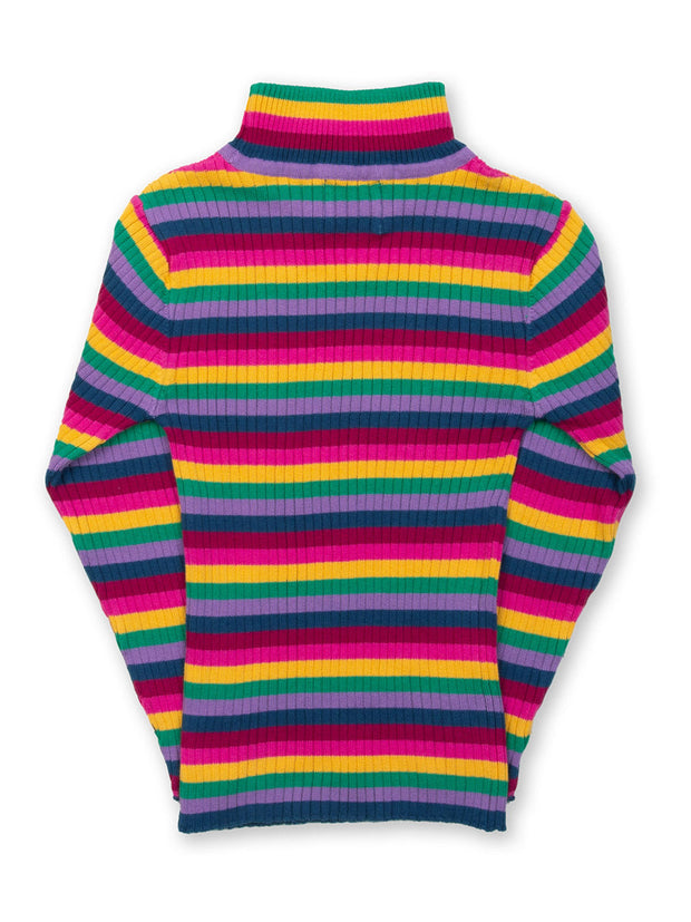 Rainbow Knit Turtle Pullover